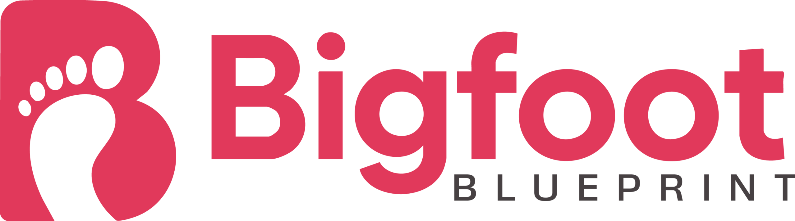 https://thetoxichome.com/wp-content/uploads/2026/05/cropped-bigfoot-logo03@2x-scaled-1.png